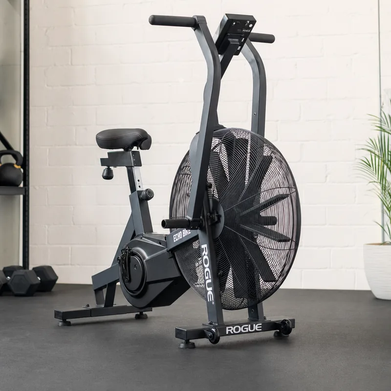 Rogue Echo Bike